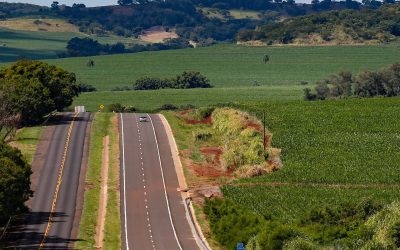 Comitê de Infraestrutura do IEP e Pró-Paraná discute caminhos para a transição da concessão das rodovias do Paraná